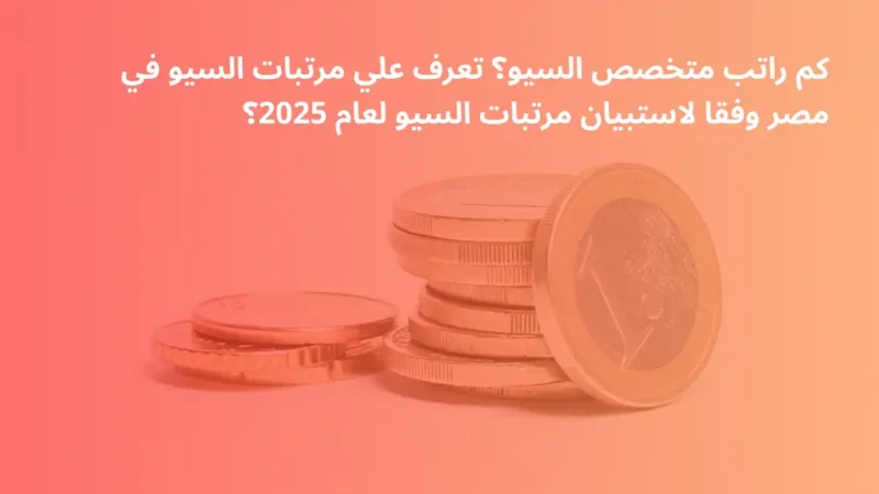 مرتبات السيو في مصر SEO