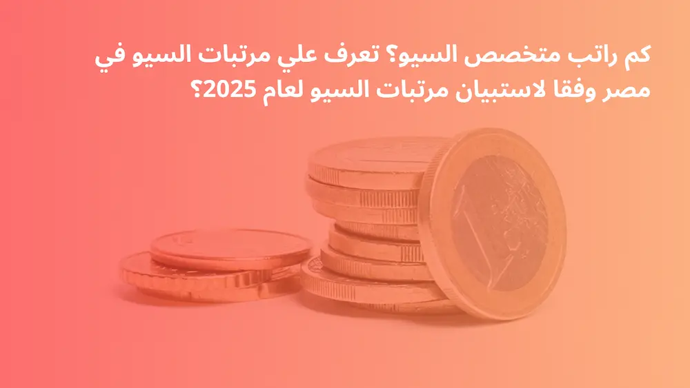 مرتبات السيو في مصر SEO